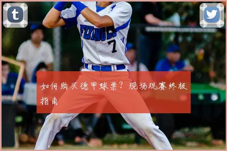 如何购买德甲球票？现场观赛终极指南